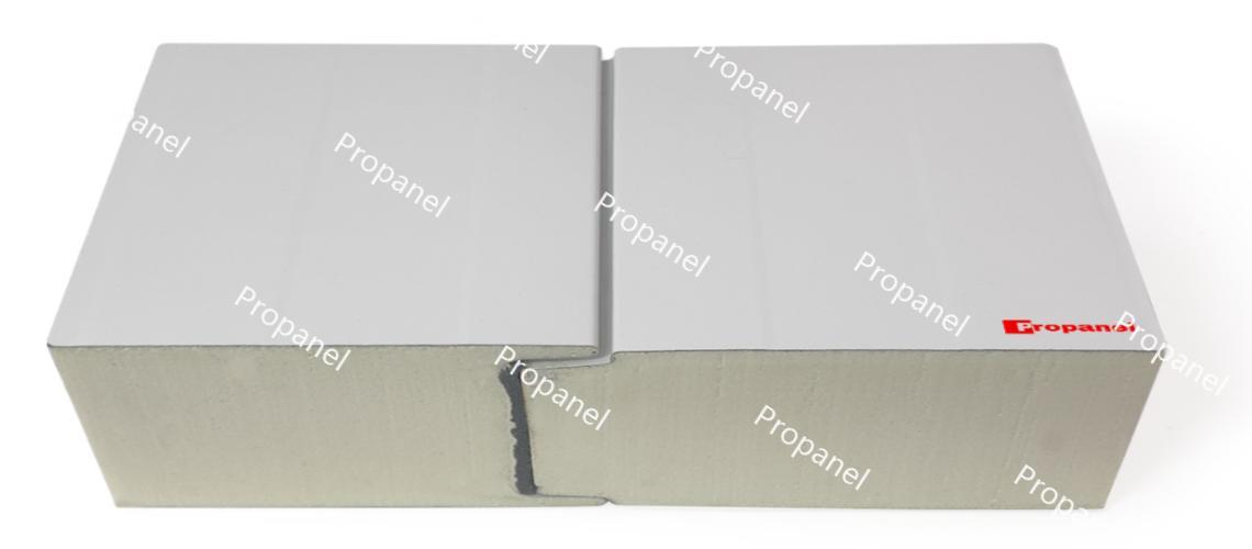 Insulated Cold Storage Room Sandwich Panel